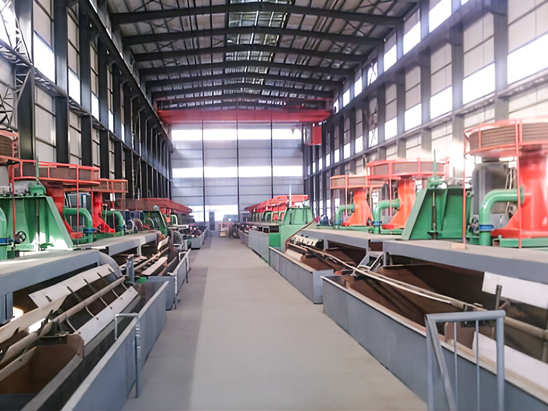 王河溝3000噸/日鉬選廠擴建項目---陜西洛南九龍礦業(yè)有限公司